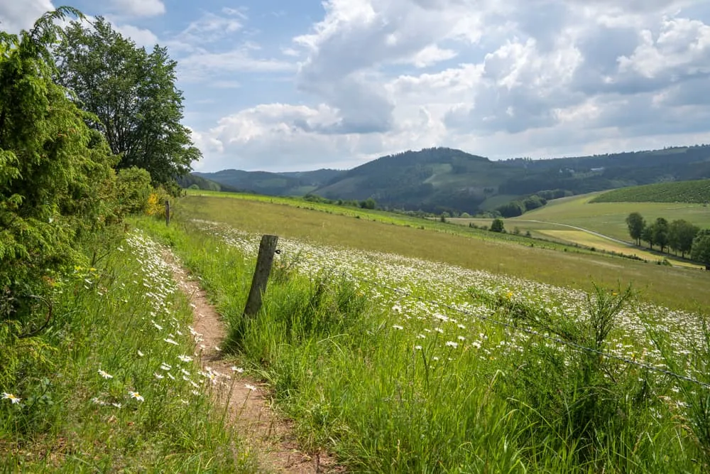 Rothaarsteig Trail: Hiking in Sauerland