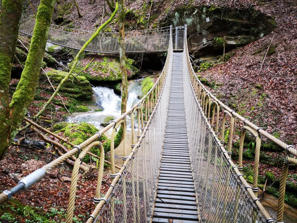 Eifelsteig 5 days - long weekend 2