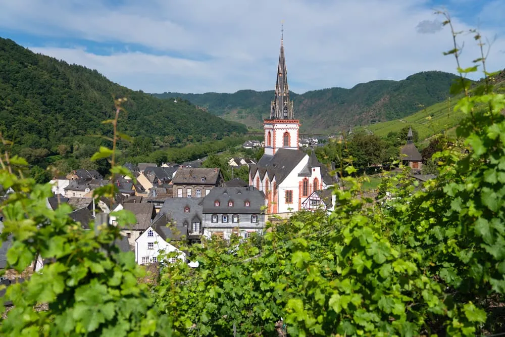 Moselsteig Wine and Castles: from Neef to Cochem