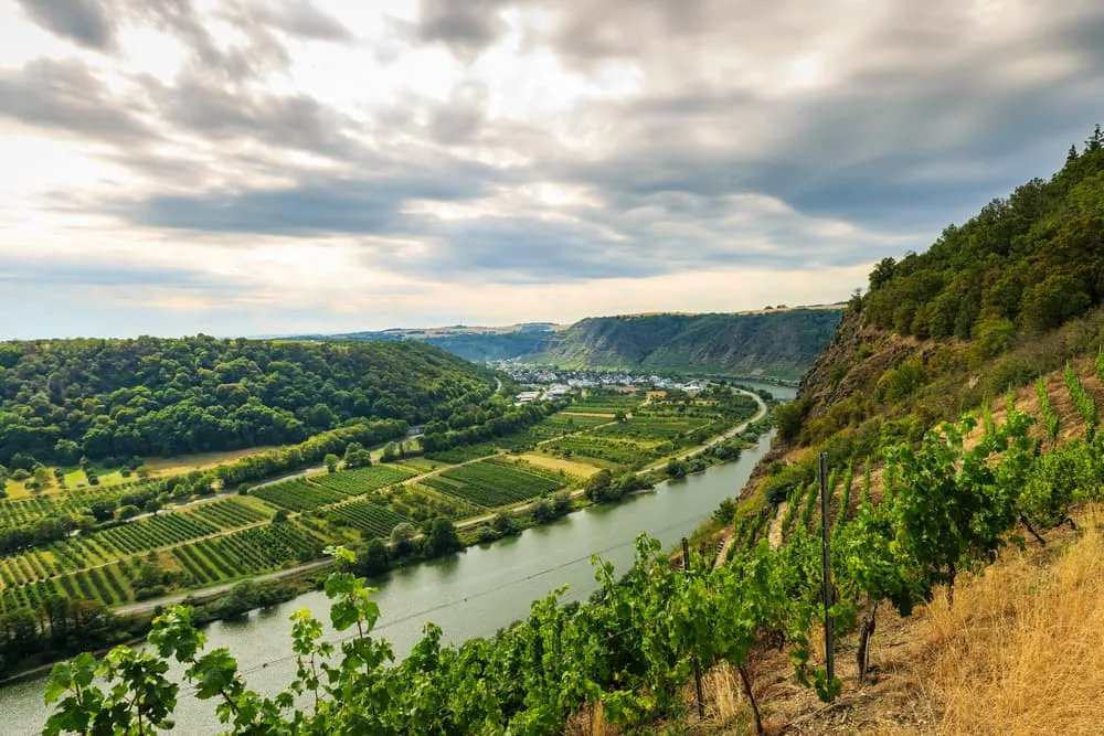 Last Part of the Moselsteig: Löf - Koblenz 6