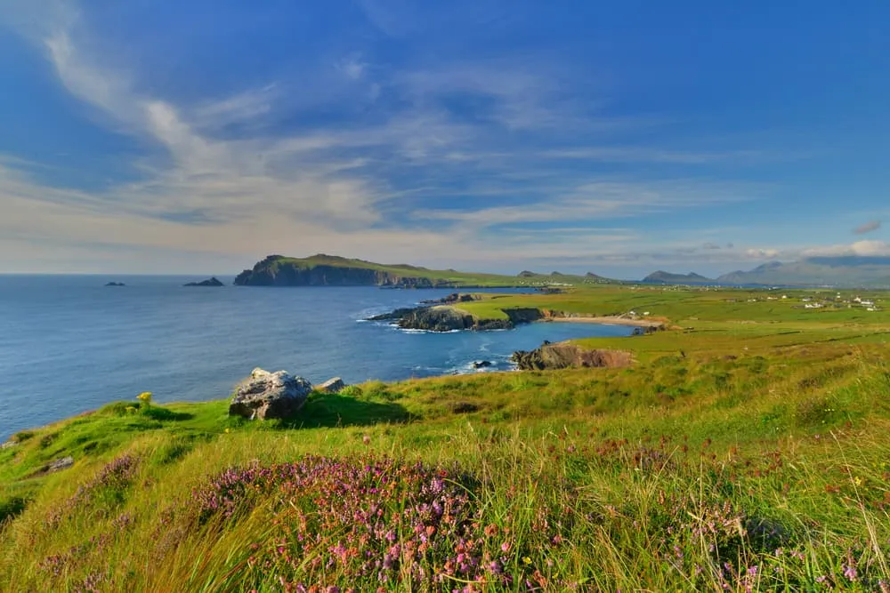 Dingle Way - Short 8