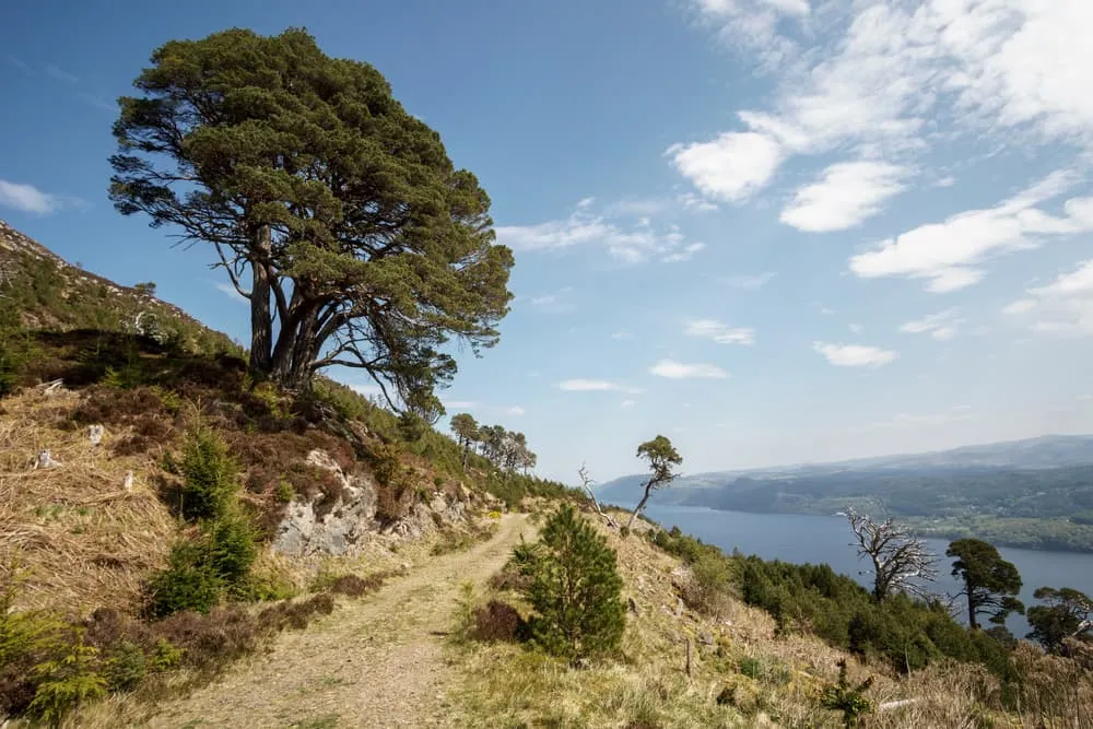 Great Glen Way - Intensive