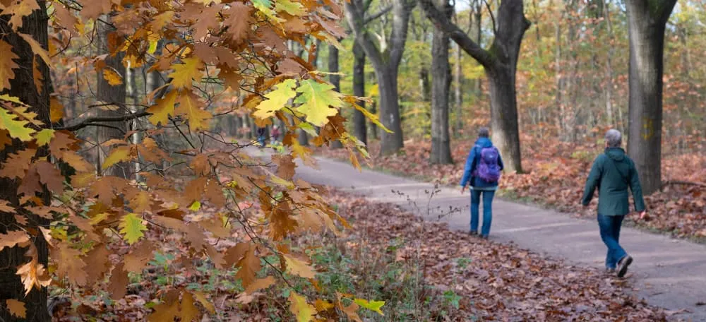 Etichetta di legge - Presta attenzione a questo