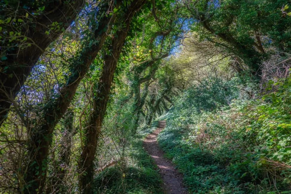Gendarmstien, in de voetsporen van smokkelaars
