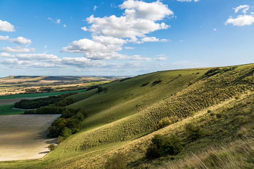South Downs Way 10