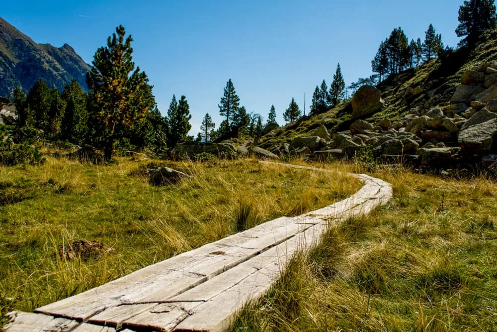 Is The Carros de Foc For Me?