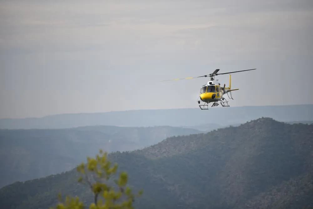 What to Do in Case of an Emergency?