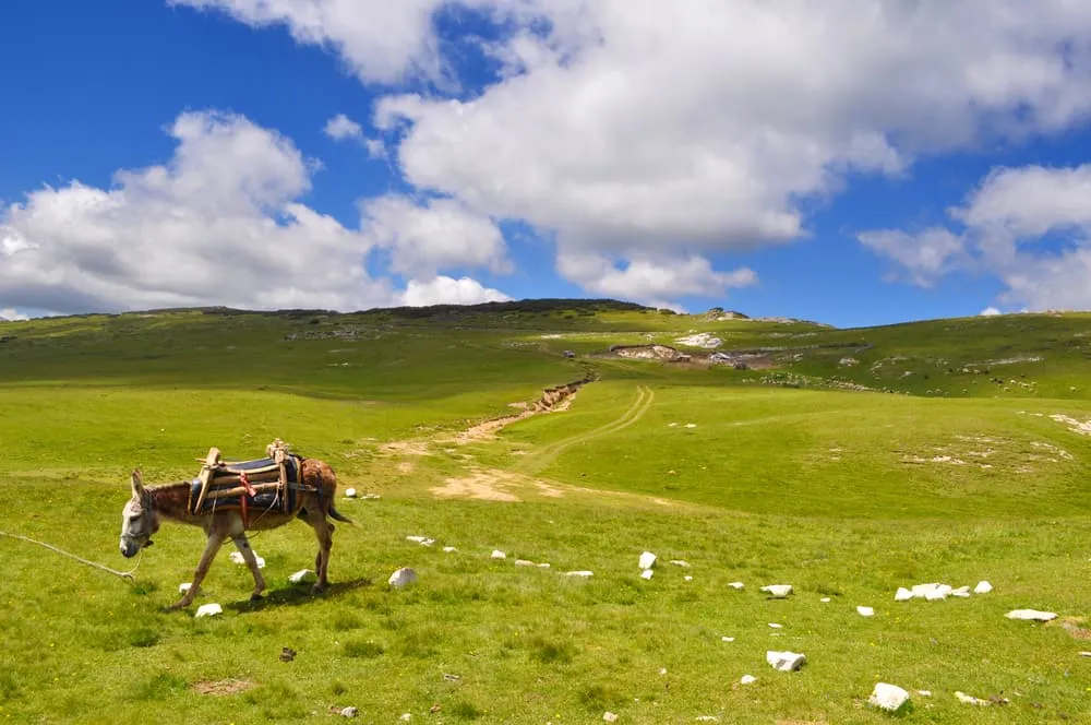 Luggage Transport on the Peaks of the Balkans Trail. How Does That Work?