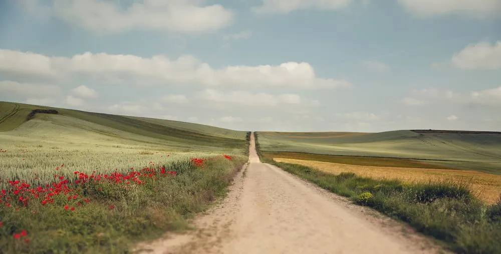 Camino Frances: The Classic Pilgrimage Route to Santiago