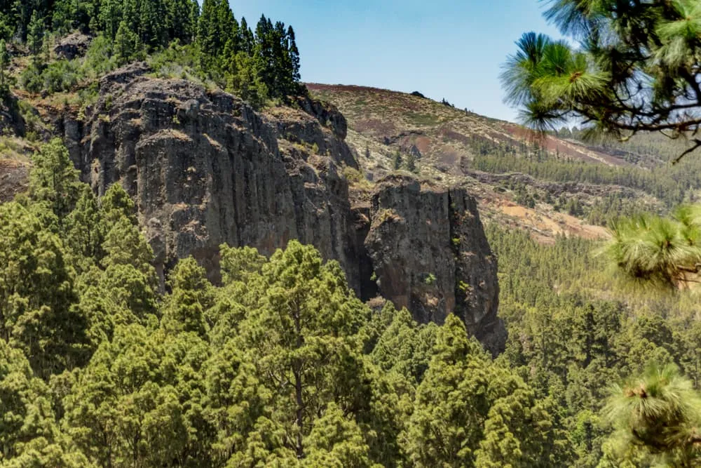 5. Forests and Mountains: Los Órganos de la Orotava