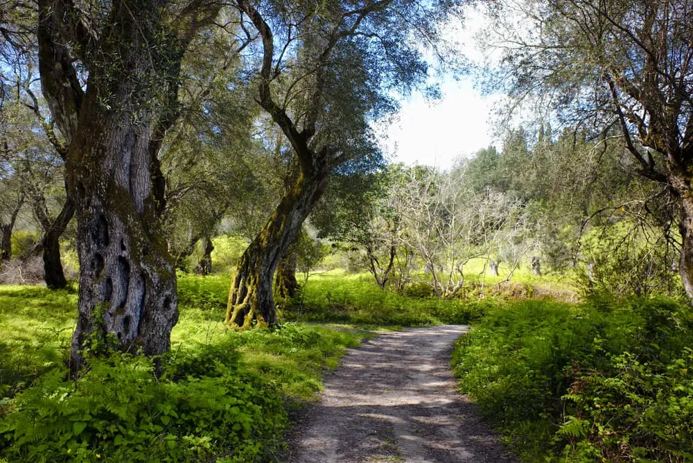 Full Corfu Trail - Explore the Island From Head to Toe 5