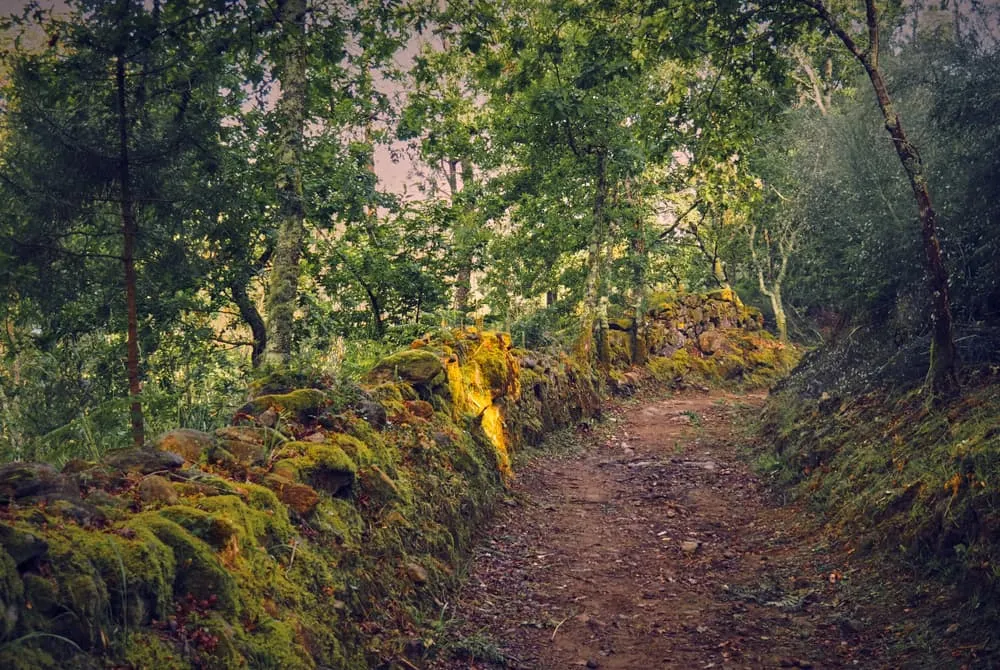 Camino Portugués: Tui to Santiago 6