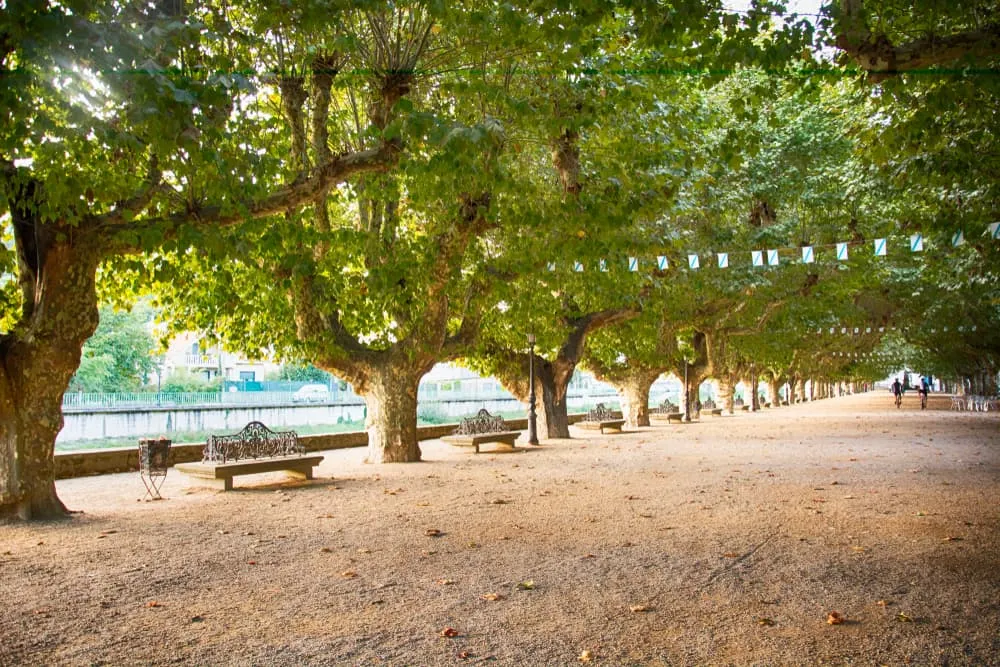 The Coastal Camino Portugués: Baiona to Santiago 7