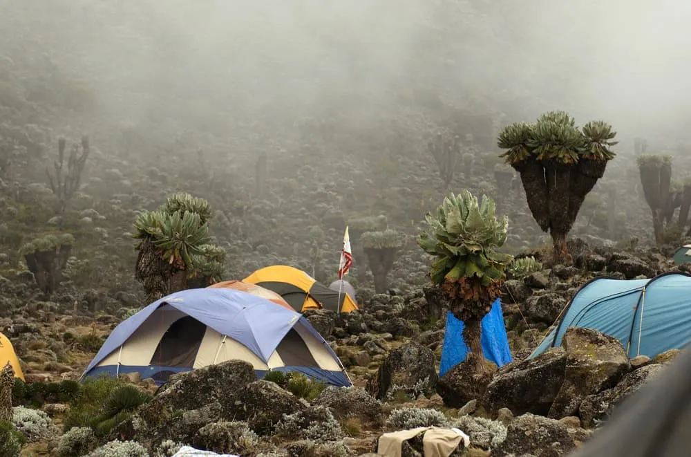 Barranco Camp