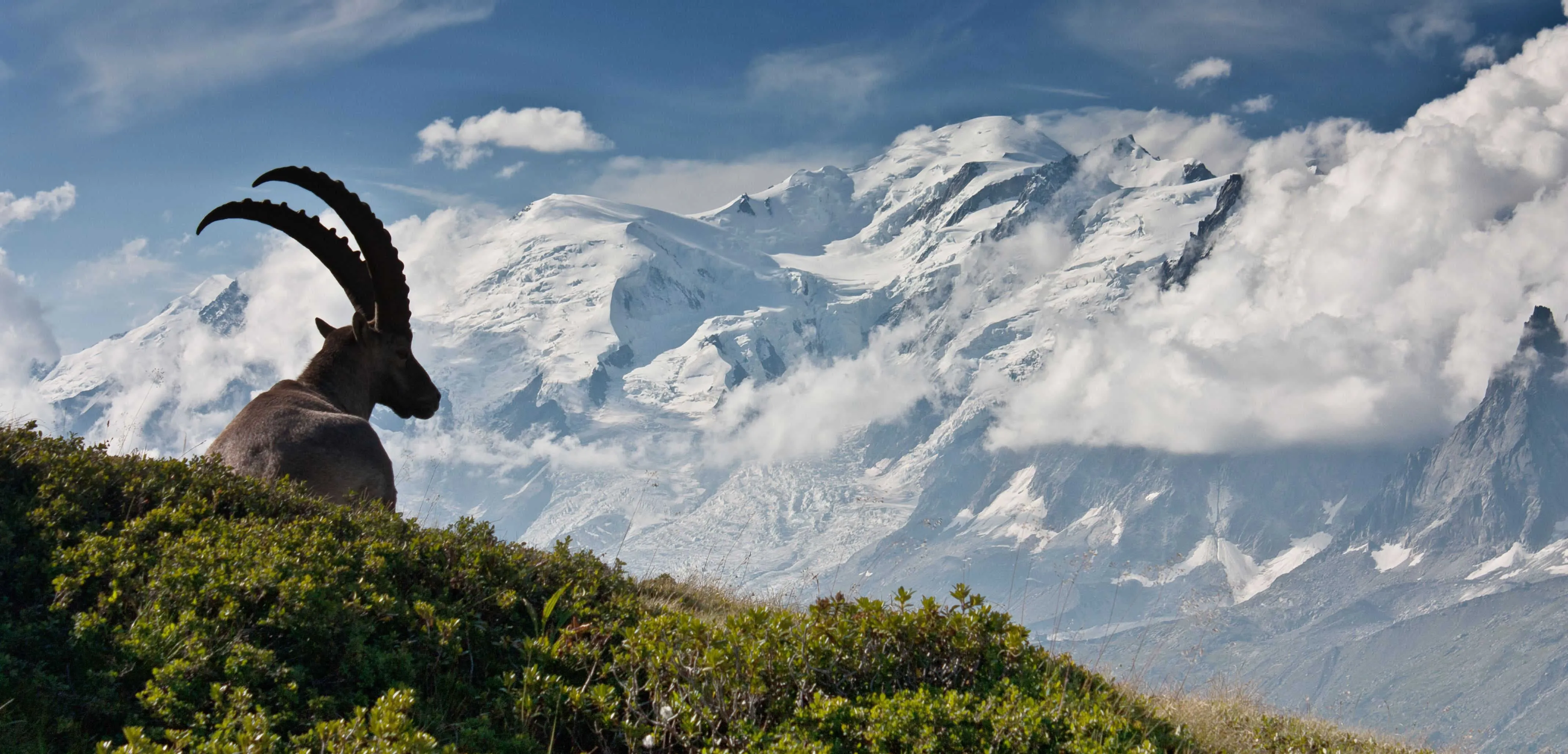 Get weekly inspiration with the best treks