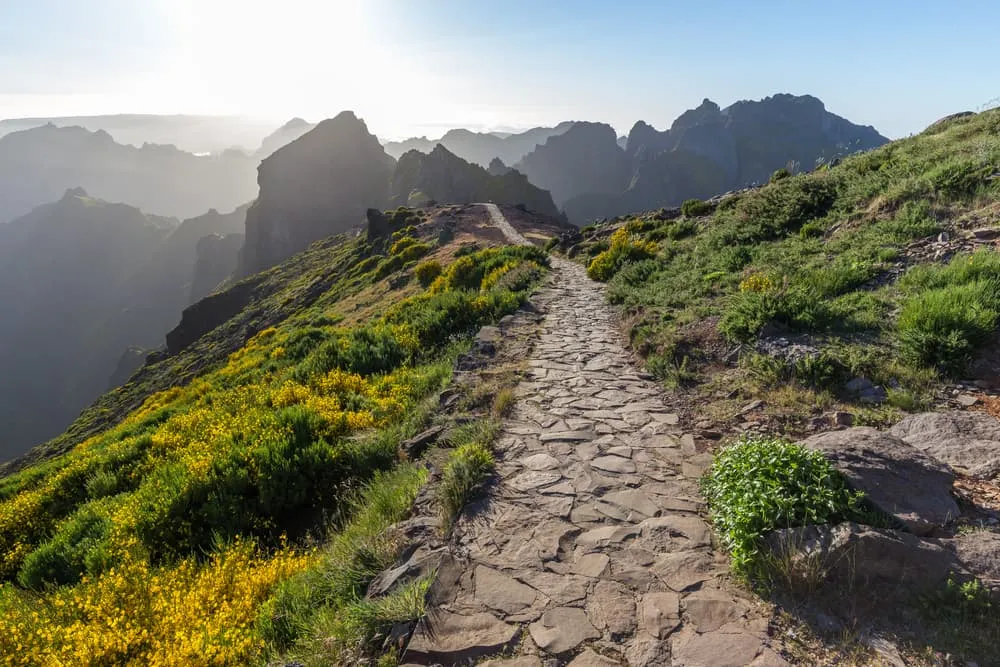 Where Do I Go Walking in Madeira and How Can I Get There?