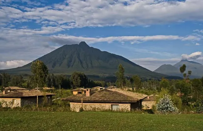 Mountain Gorilla View Lodge