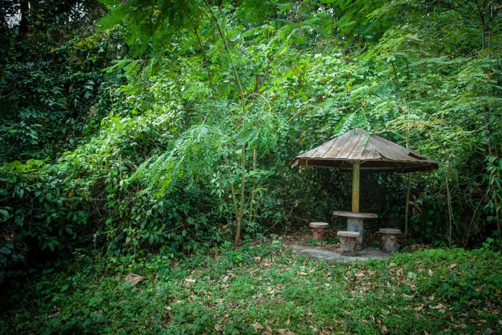 Mountain Ridge Campsite