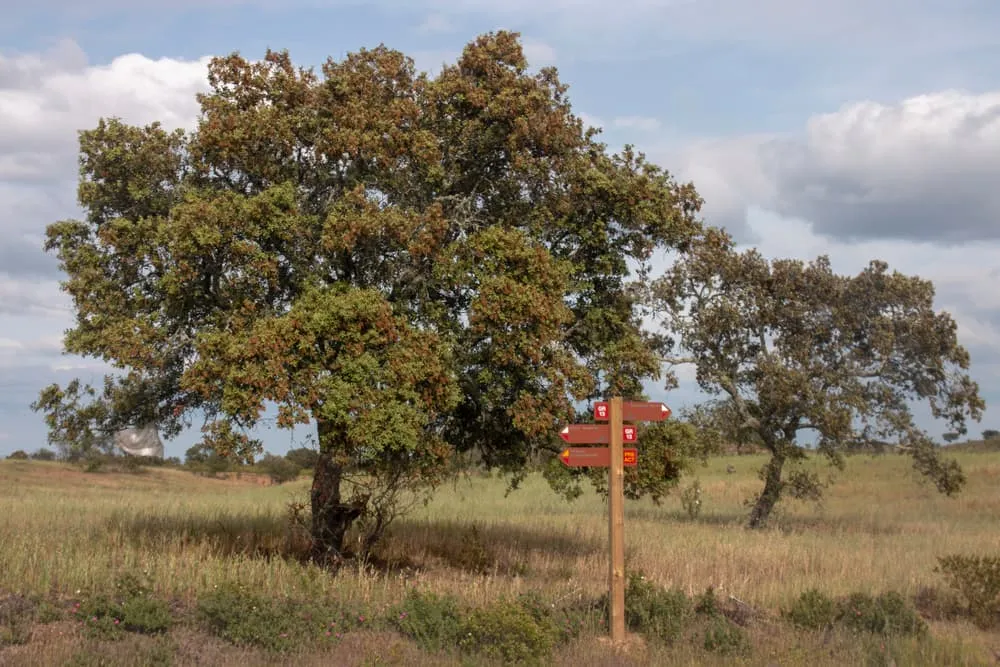 Via Algarviana: from Loulé to Silves