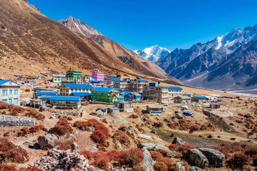Langtang Trek: High Altitude Adventure in Kathmandu's Backyard
