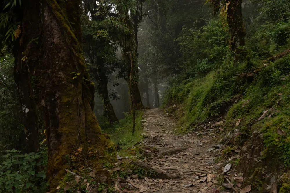 What Is The Best Trekking Season For The Mardi Himal Trek?