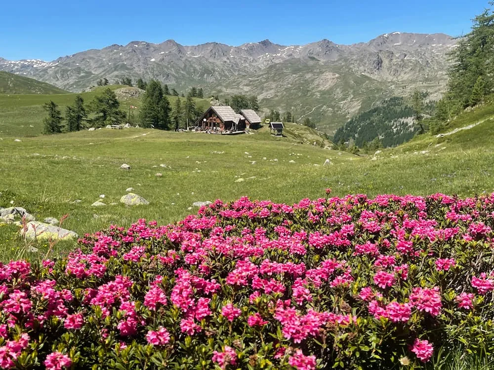 Refuge du Chardonnet