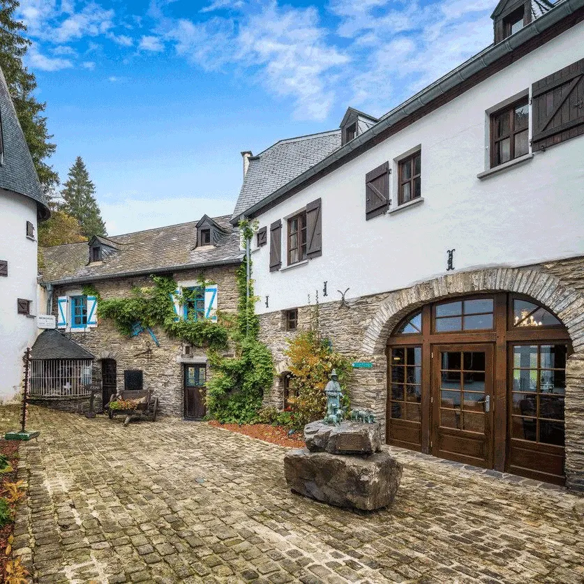 Domaine du Moulin d'Asselborn (Moulin d’Asselborn)