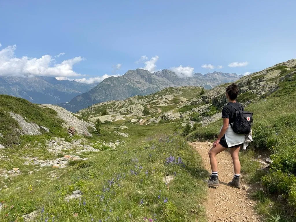 Discovering Mountains