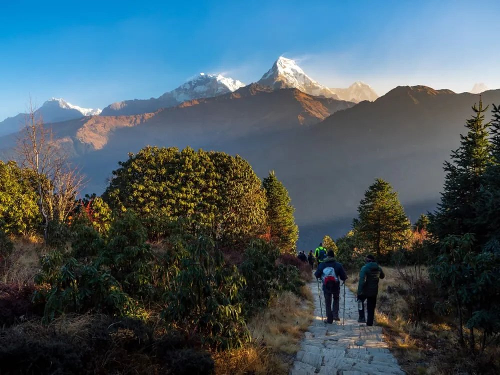 Ghorepani Poon Hill Trek Full