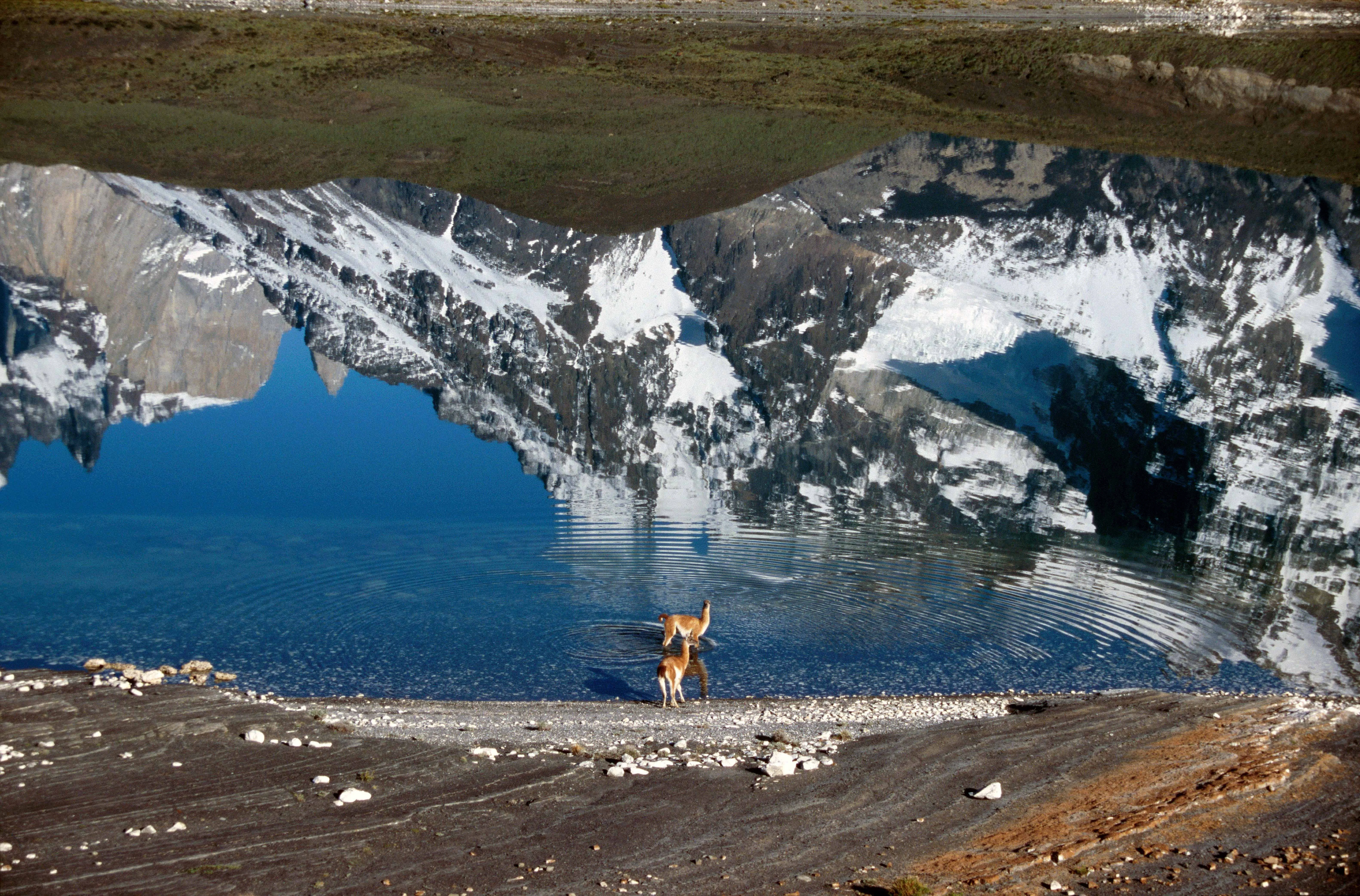 How To Get To Torres del Paine