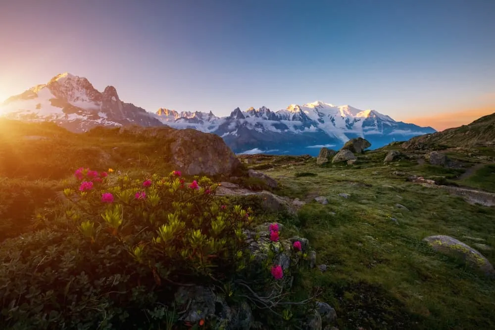 Best of Tour du Mont Blanc: Lac Blanc 5