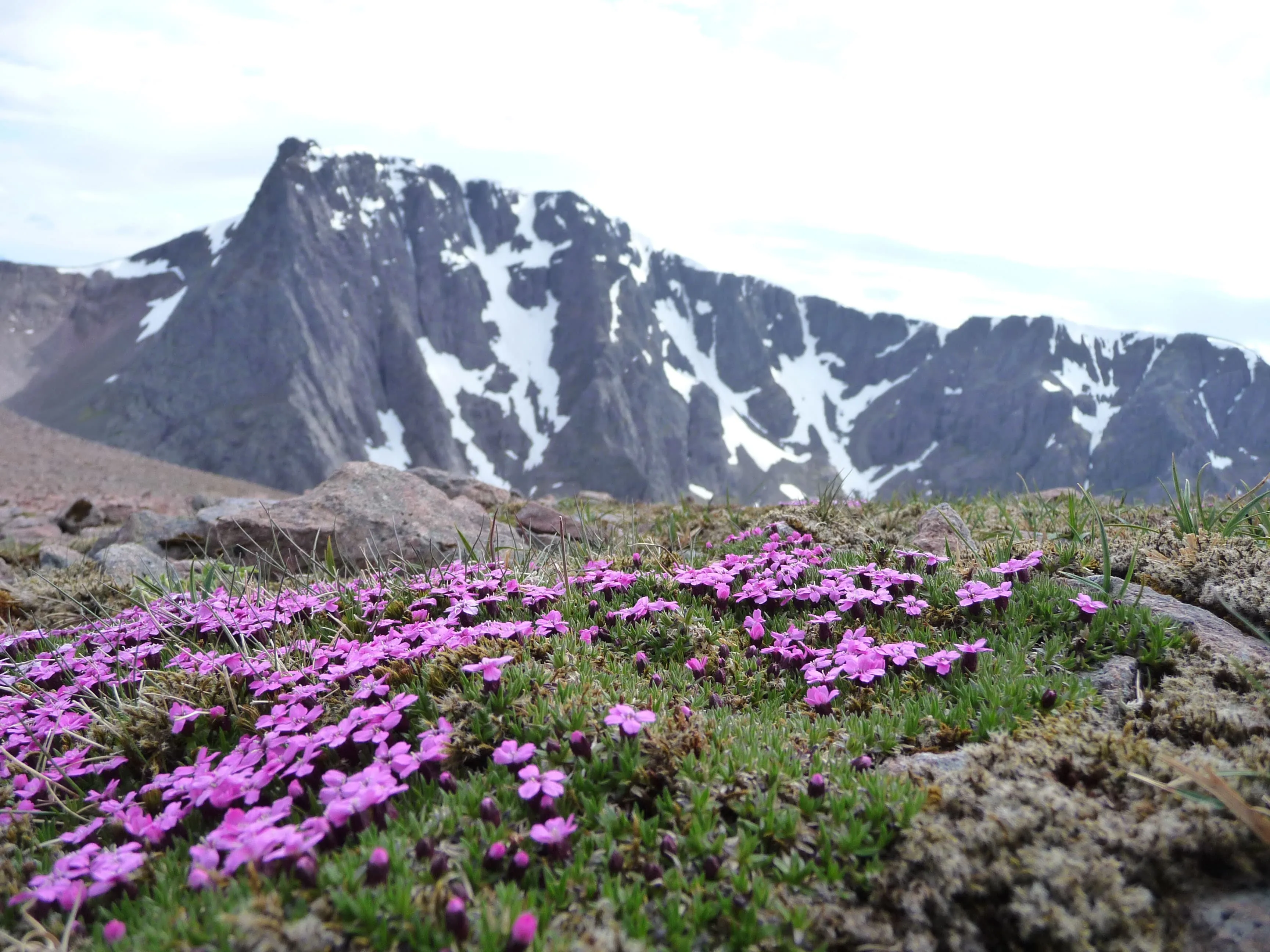 Ben Nevis Hike: Scale Britain’s Highest Mountain