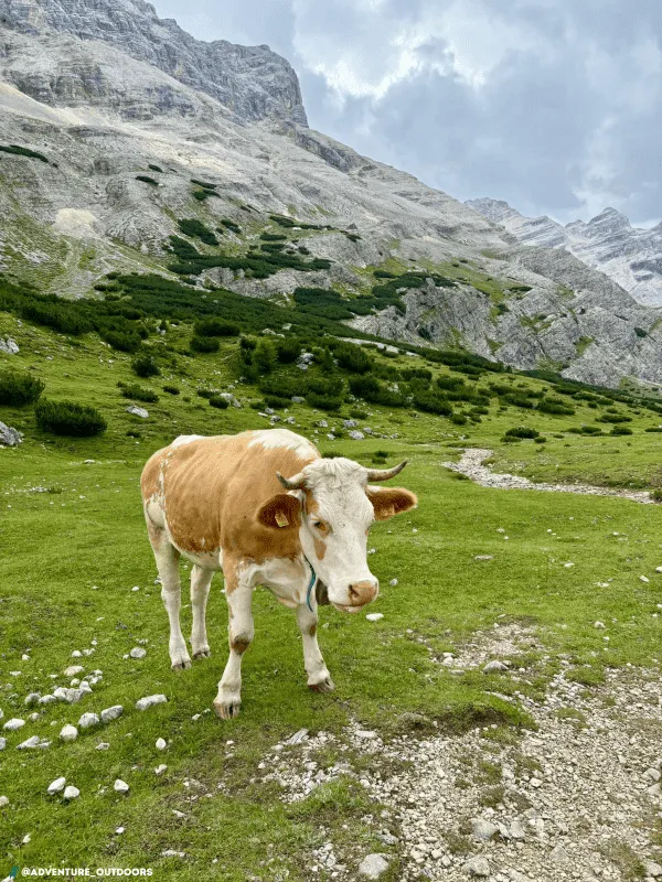 Short Alta Via 1 (family-friendly) 7