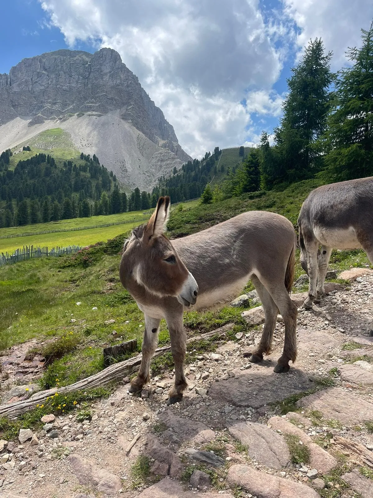 Classic Dolorama Weg - Including accommodation before and after 5
