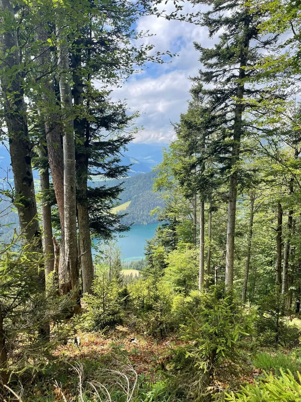 Kaiser's Little Crown with hotel before and after 7