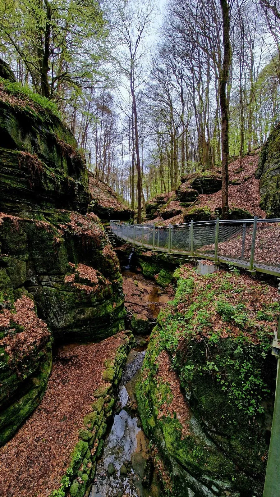 Full Mullerthal Trail (Route 1, 2 & 3)