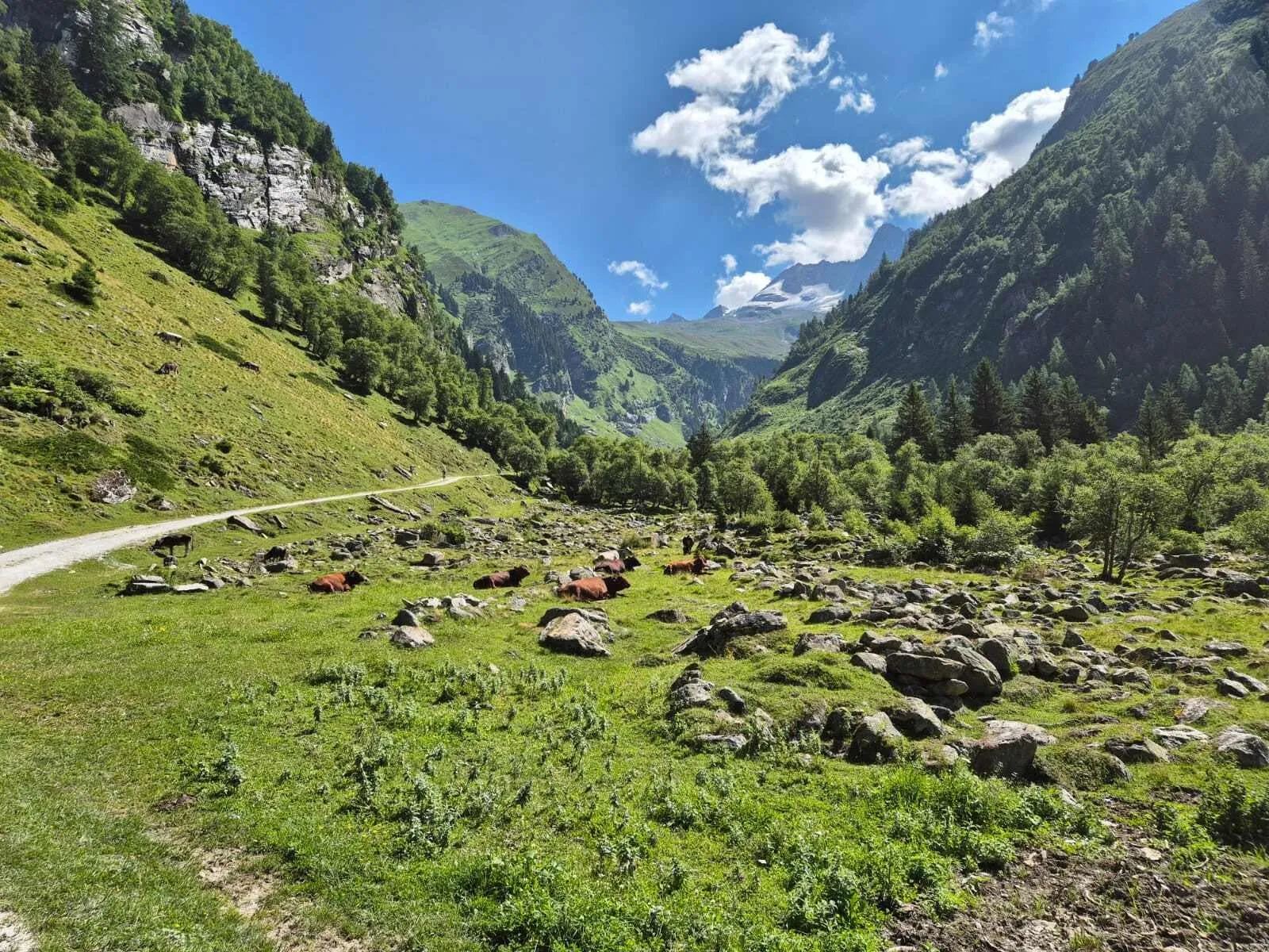 Peter Habeler Runde - Inklusive boende före och efter 6