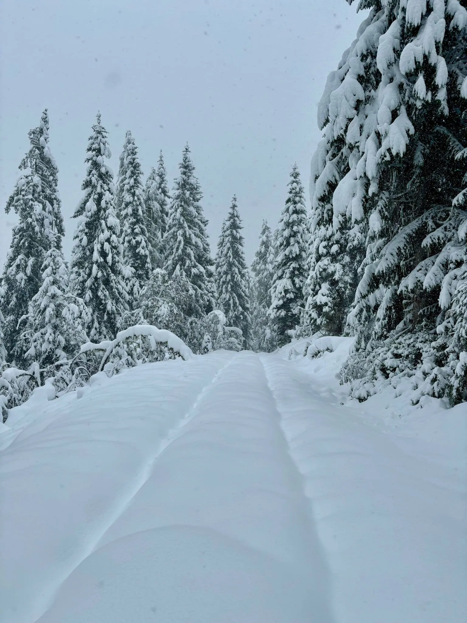 The Salzburger Almenweg around Hochkönig - Including accommodation before and after 4