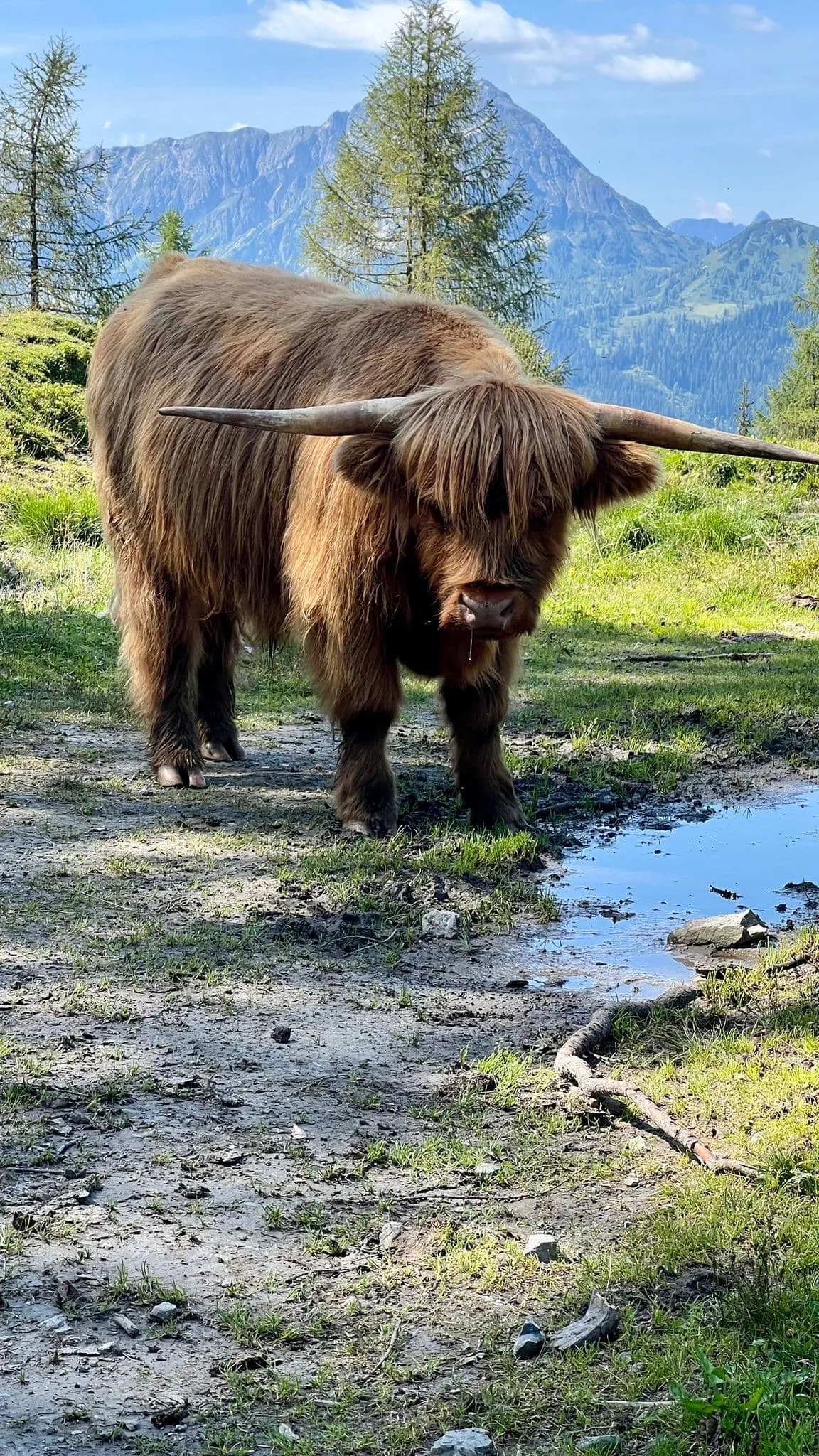 The Salzburger Sportwelt - Intensive