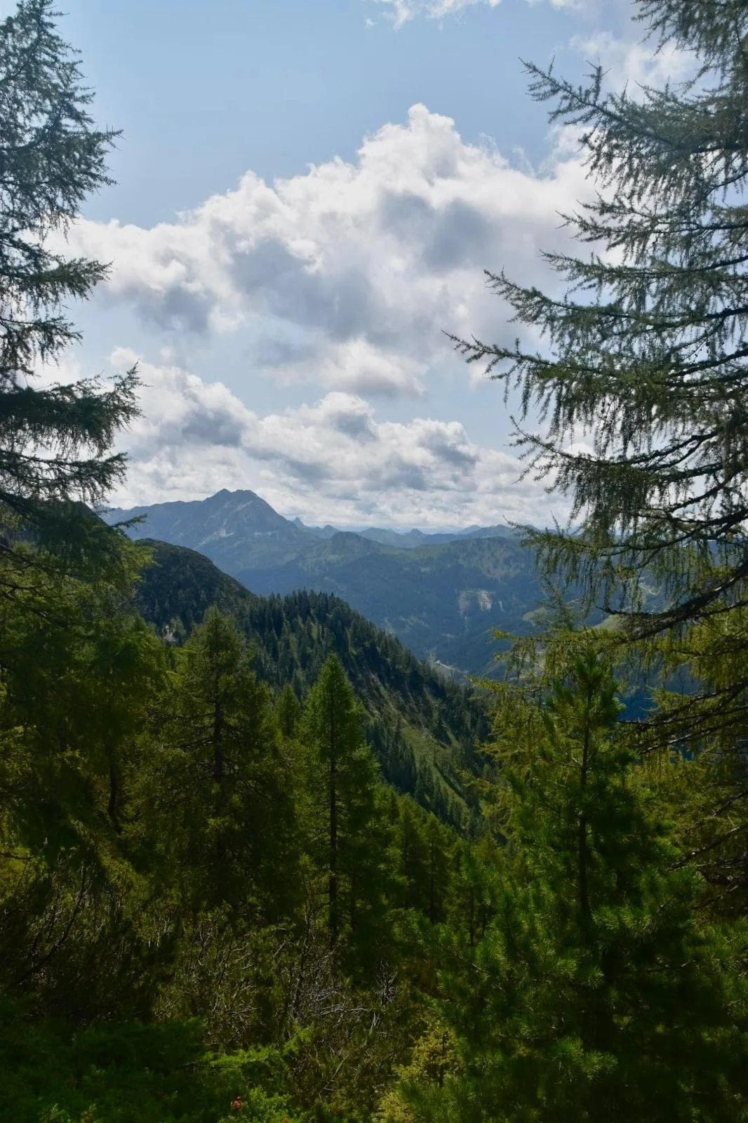 Salzburger Sportwelt - Intensivo 13