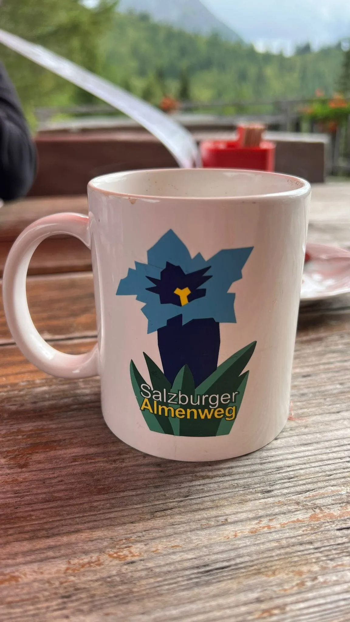 Salzburger Sportwelt - Inklusive boende före och efter 12