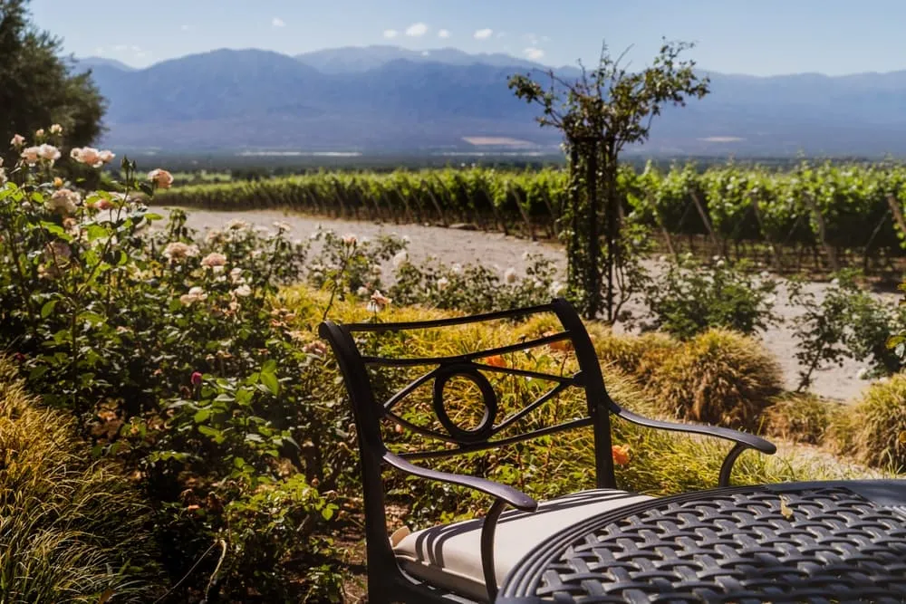 Via Francigena Experience 2