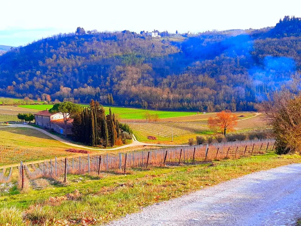 Via Francigena Experience 1